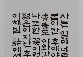 남동희 대표사진
